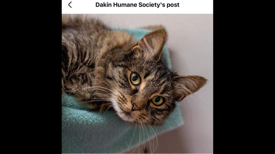 Shoto was missing for two years before being reunited with his family.