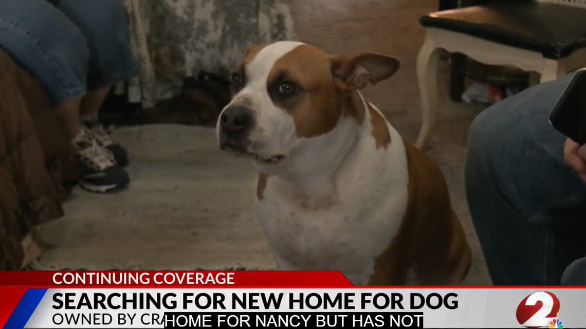 Evan Brumbaugh has said that Nancy has been down since her owner, Richard Coatney, was one of four killed in a car crash on April 1.