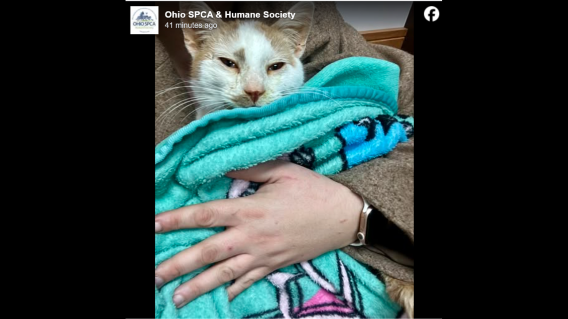 Sweet Ben wrapped in a blanket