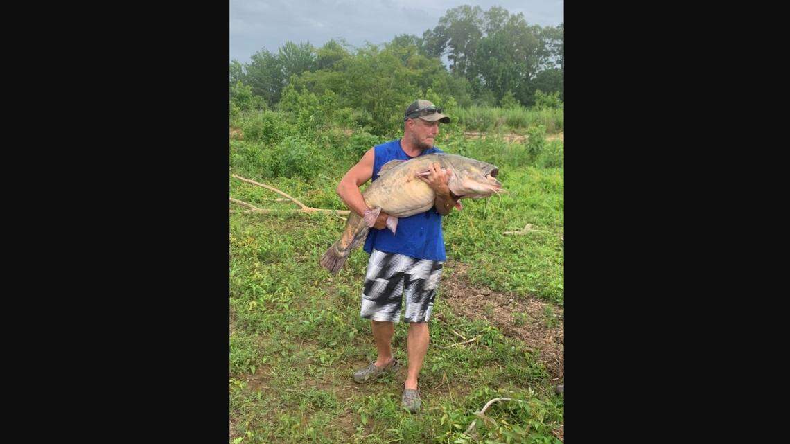 The U.S. Army Corps of Engineers (USACE) Vicksburg District visitors and staff received a surprise July 19 when a catfish grabbing guide service caught a near-record specimen at Arkabutla Lake in Mississippi.