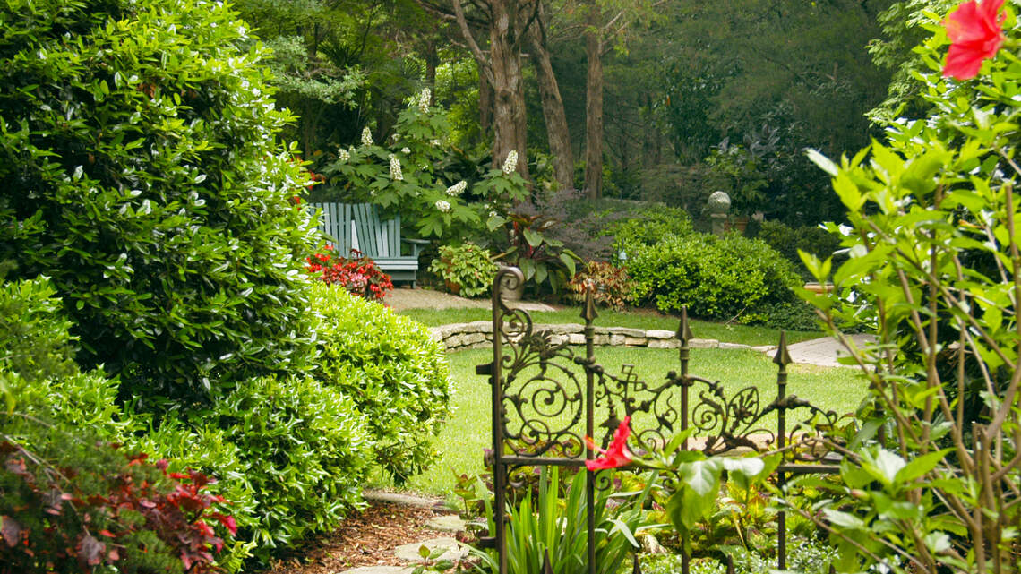 Here’s how to keep a good line of sight to the special places in your garden
