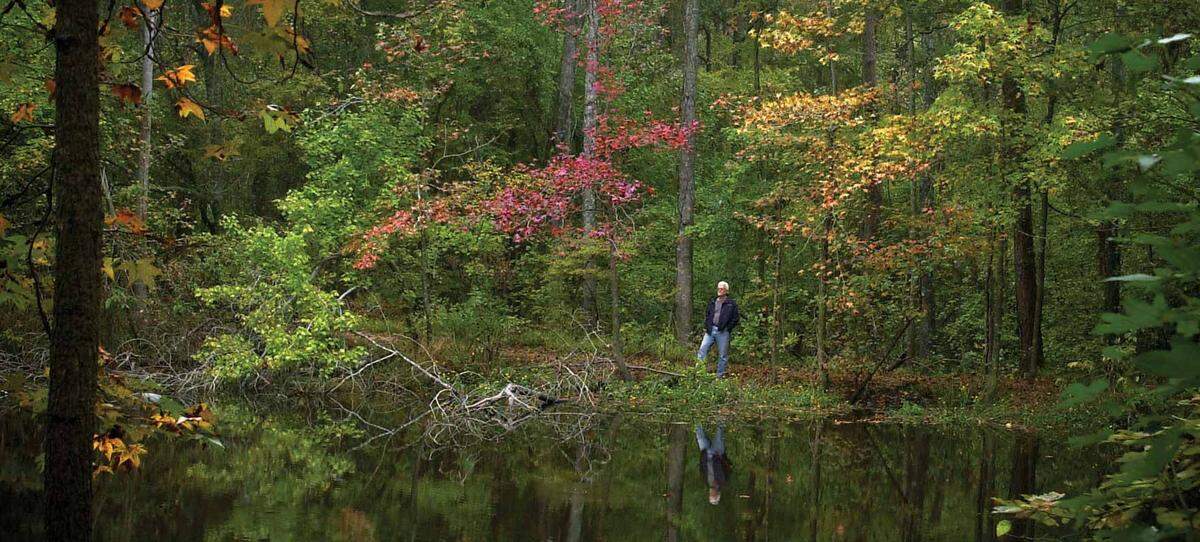 A man stands by water with large trees behind him.
