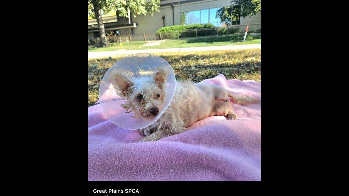 Tiny Kita basks in the sunlight.