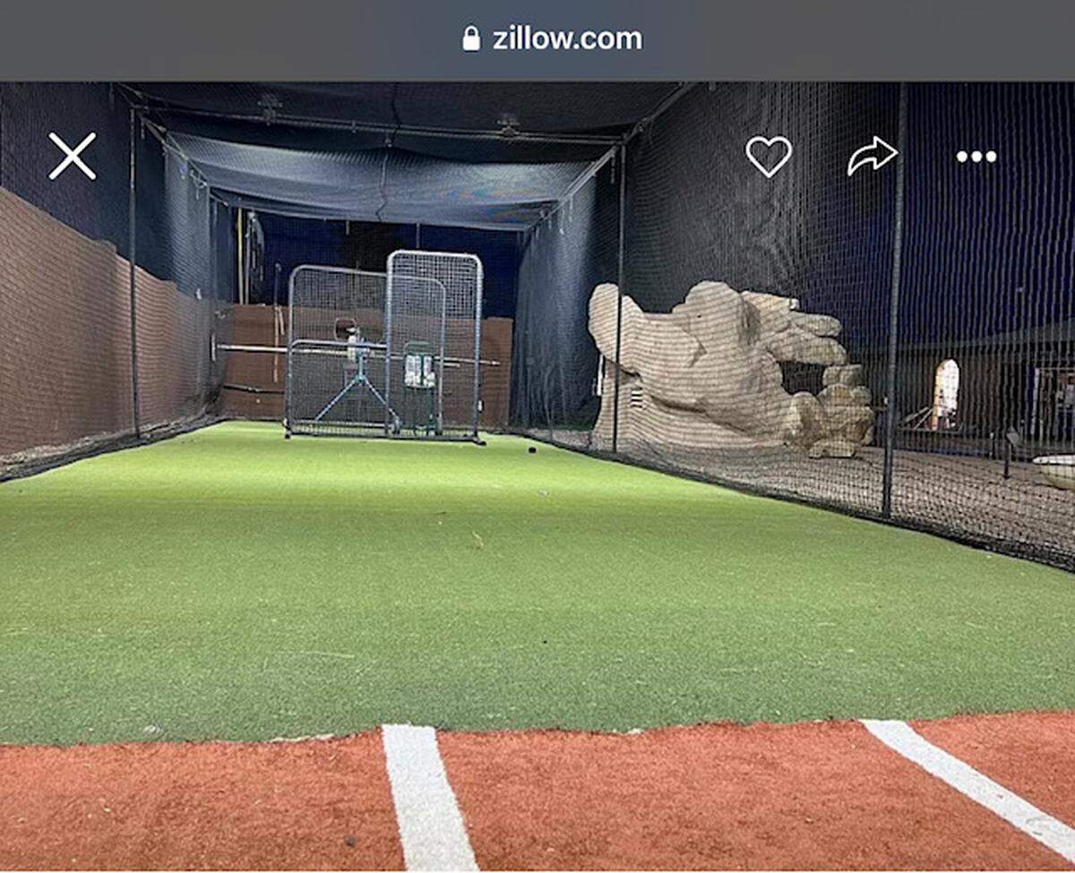 Batting cage