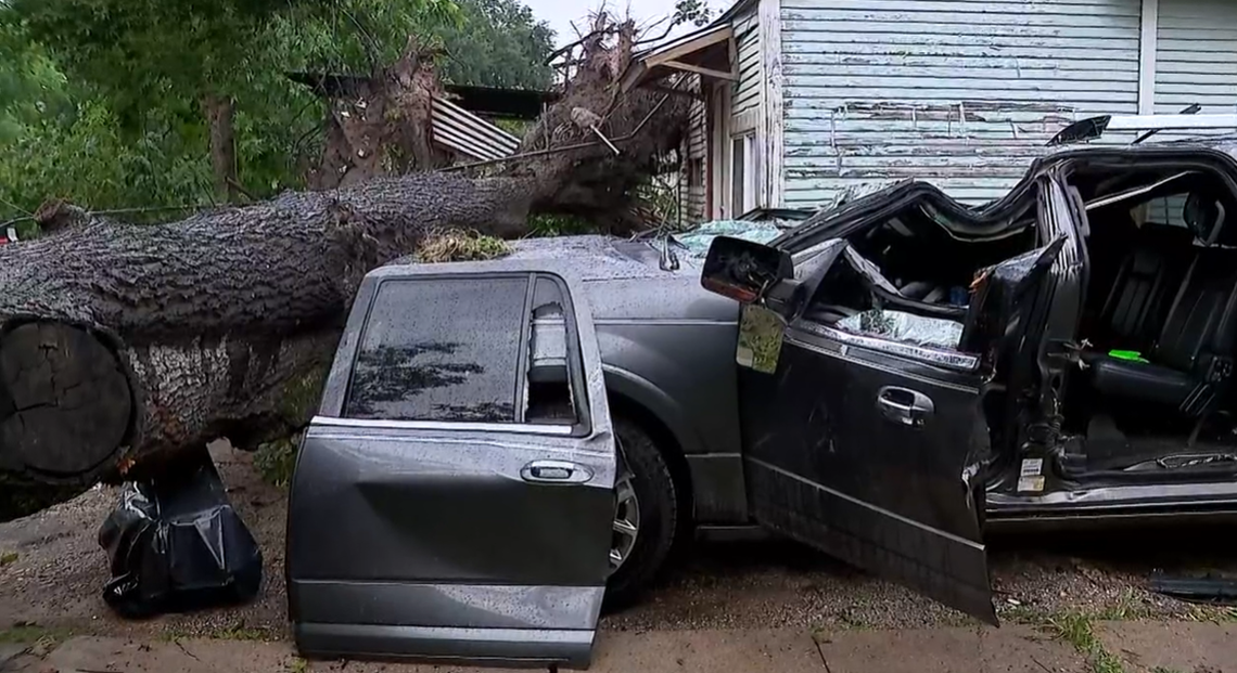 First responders lifted the tree off of the vehicle but Martinez did not survive.