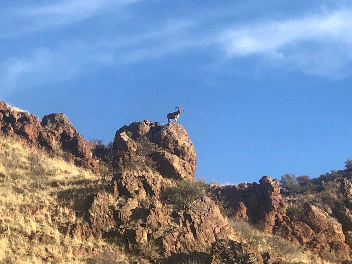 Stunning view at the Fox Canyon Ranch in far west Texas.