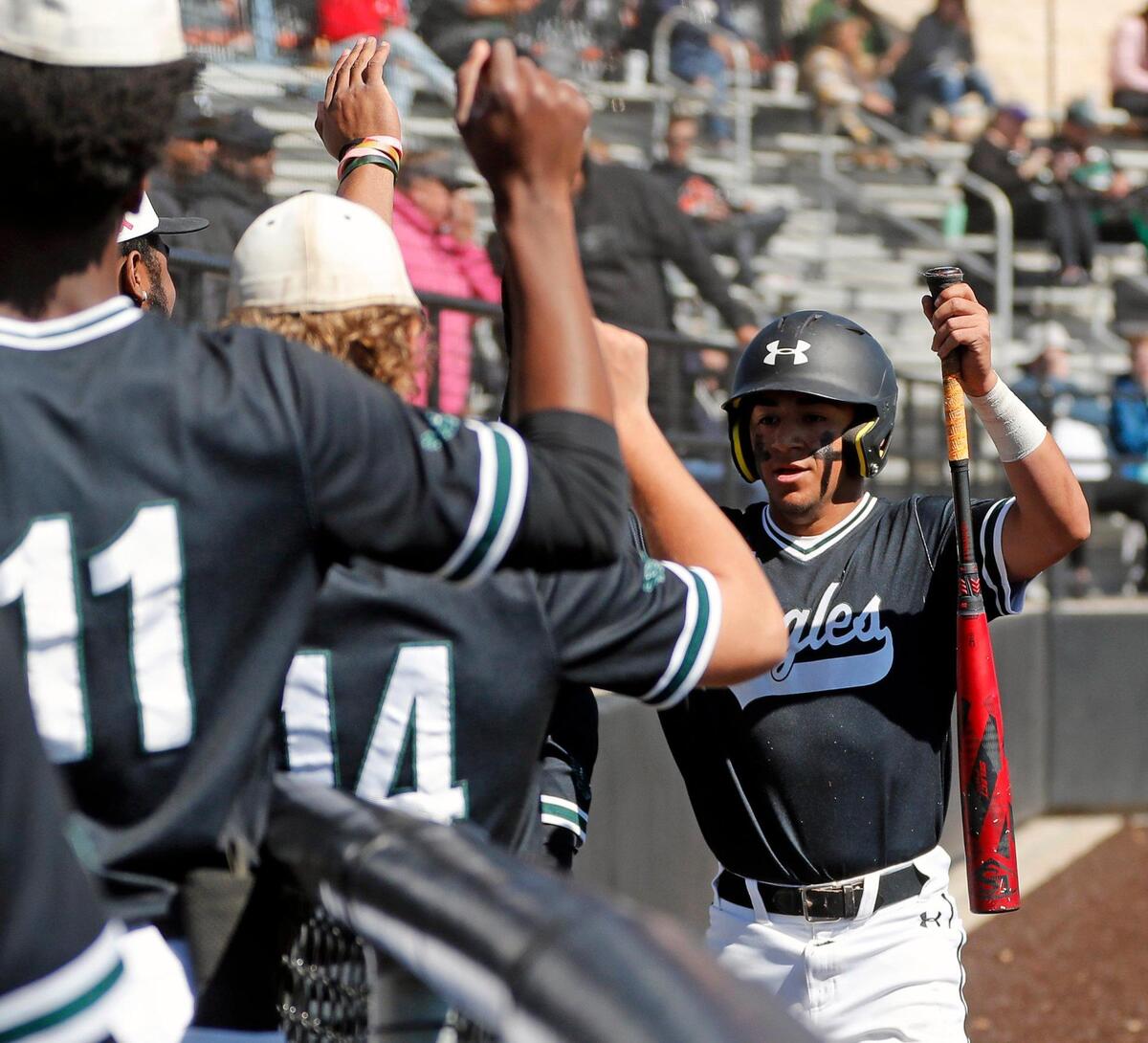 Lake Ridge infielder Matt Tellez (8) returns to the dugout after scoring the Eagles first run during the Drew Medford Baseball Tournament at Aledo High School in Aledo, Texas, Saturday, Mar. 12, 2022. Aledo defeated Lake Ridge 5-3. (Special to the Star-Telegram Bob Booth)