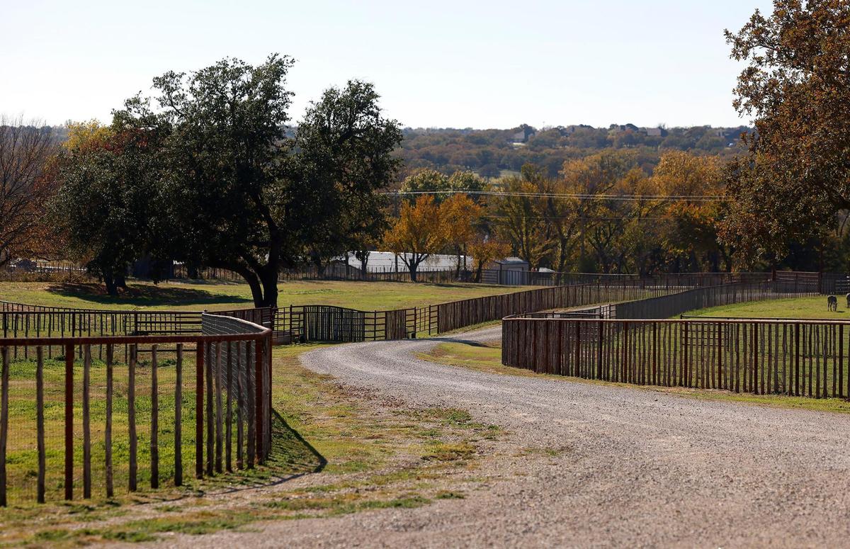 A gravel path leads to the farm for sale at 270 Price Lane in Weatherford on Tuesday, Nov. 26, 2024. The property features a barn with 12 stalls, a covered arena with holding pens on each corner and two single family homes.