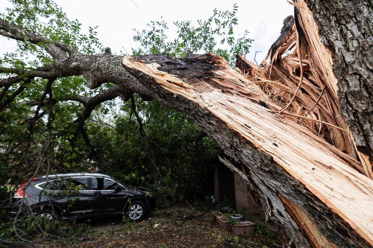 A large tree split and fell on top of a parked car after being struck by lightning in the heavy thunderstorm the night before on the 3500 block of Valencia Court in Fort Worth on Thursday, Oct. 5, 2023.