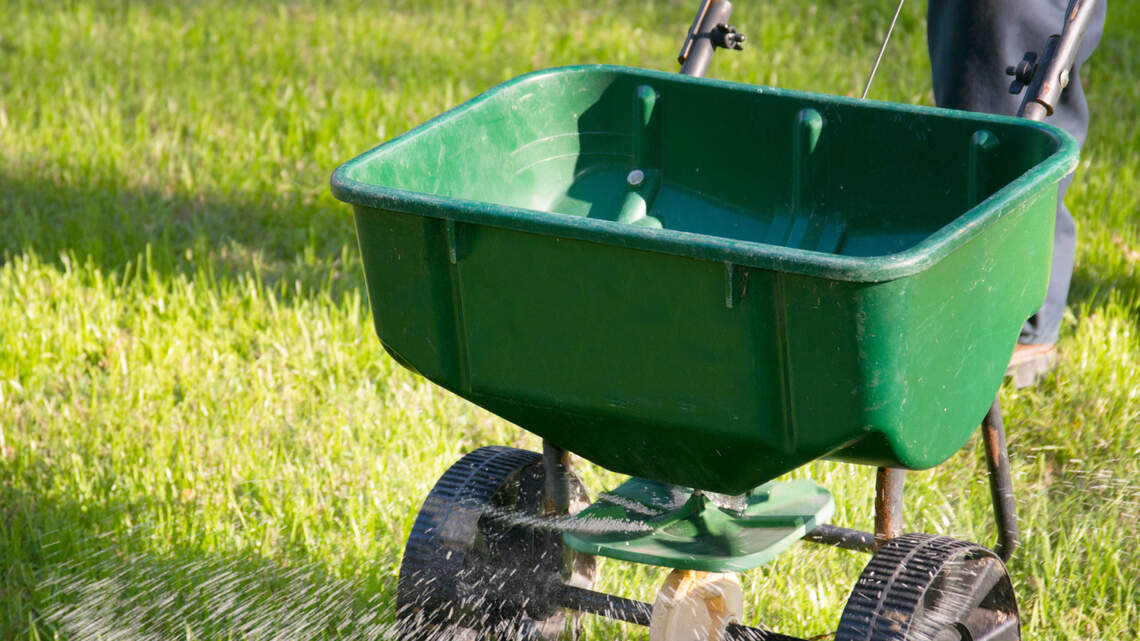 How’s your North Texas lawn looking? These tips will guide you to better grass