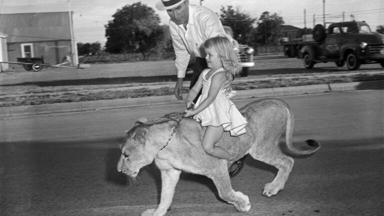 Lions, leopards, jaguars, chimps. In Fort Worth, they weren’t always just in the zoo.