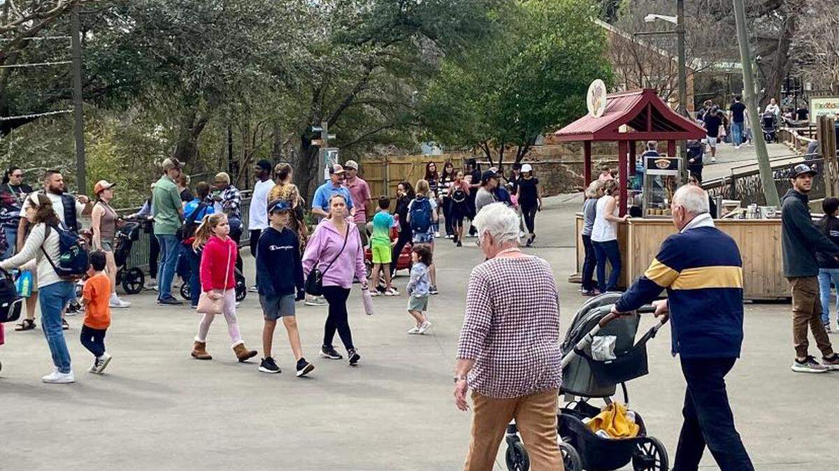 Several people walking at Dallas Zoo. 