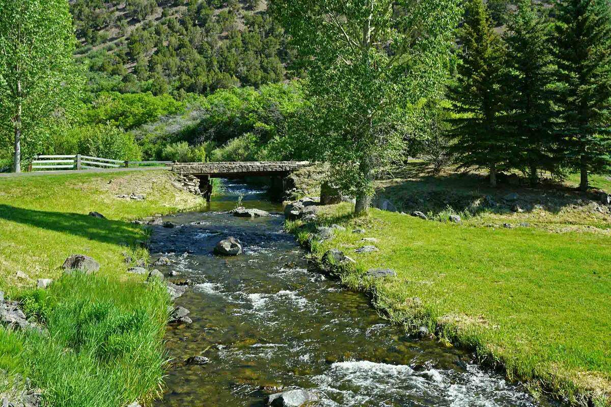 One of the creeks on the property