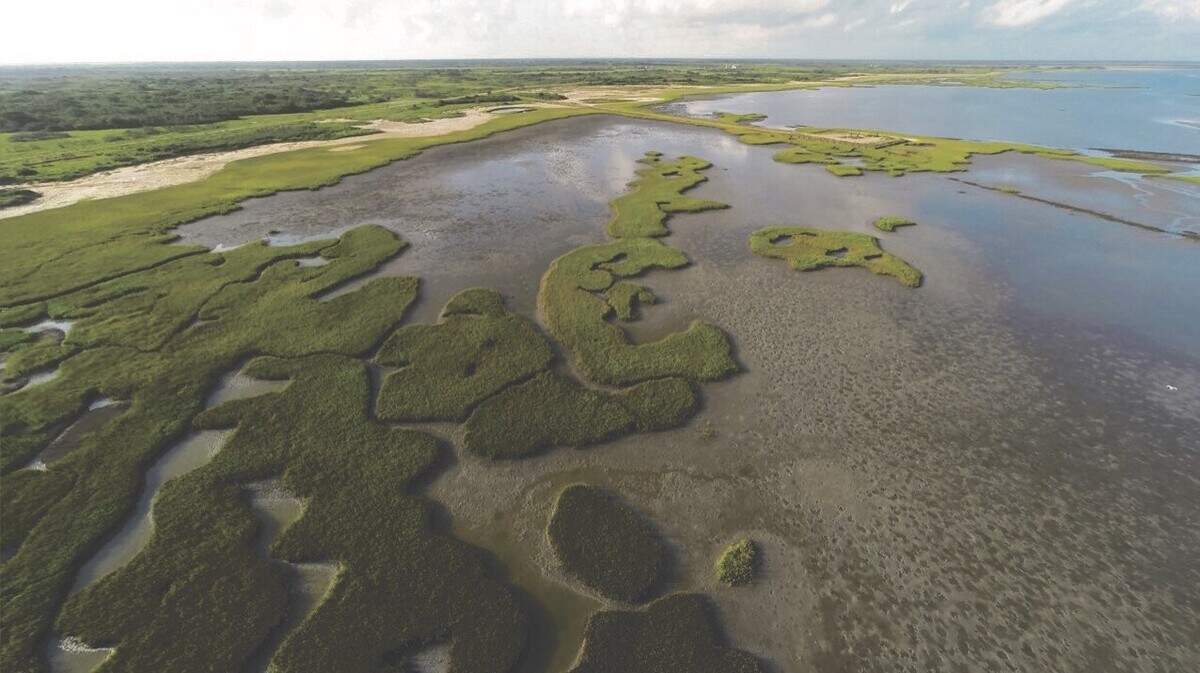 More than 17,000 acres of south Texas ranchland have been donated to Texas Parks and Wildlife, which will turn the Gulf Coast property into a state park.