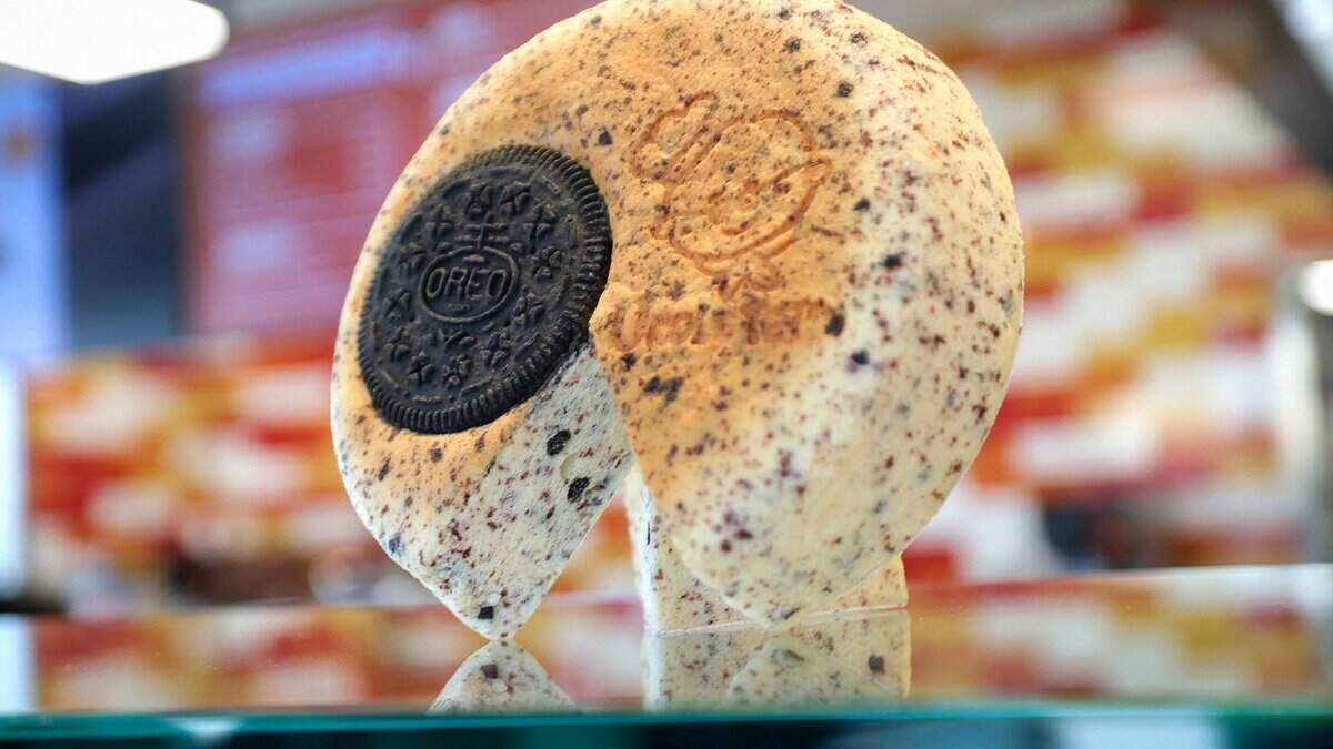 Japanischer Käsekuchen erobert DFW und sorgt für lange Schlangen und ...
