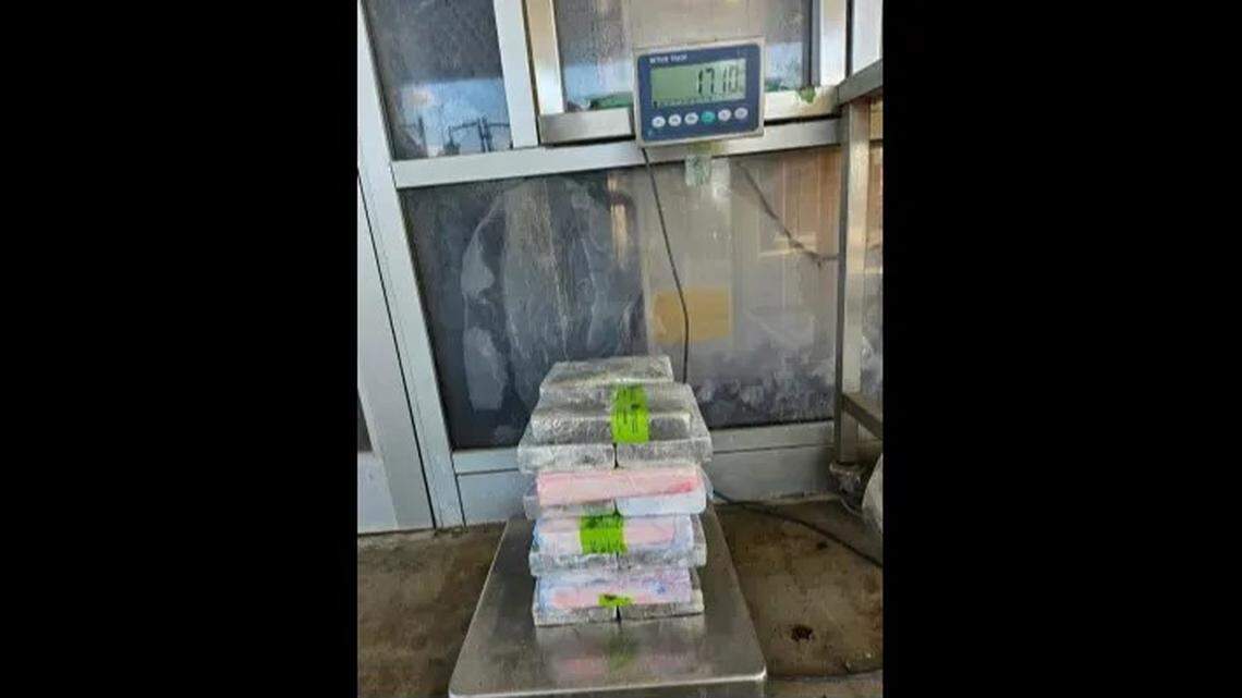 Pounds of cocaine was found in a shipment of avocados attempting to cross the U.S.-Mexico border, federal officials said.