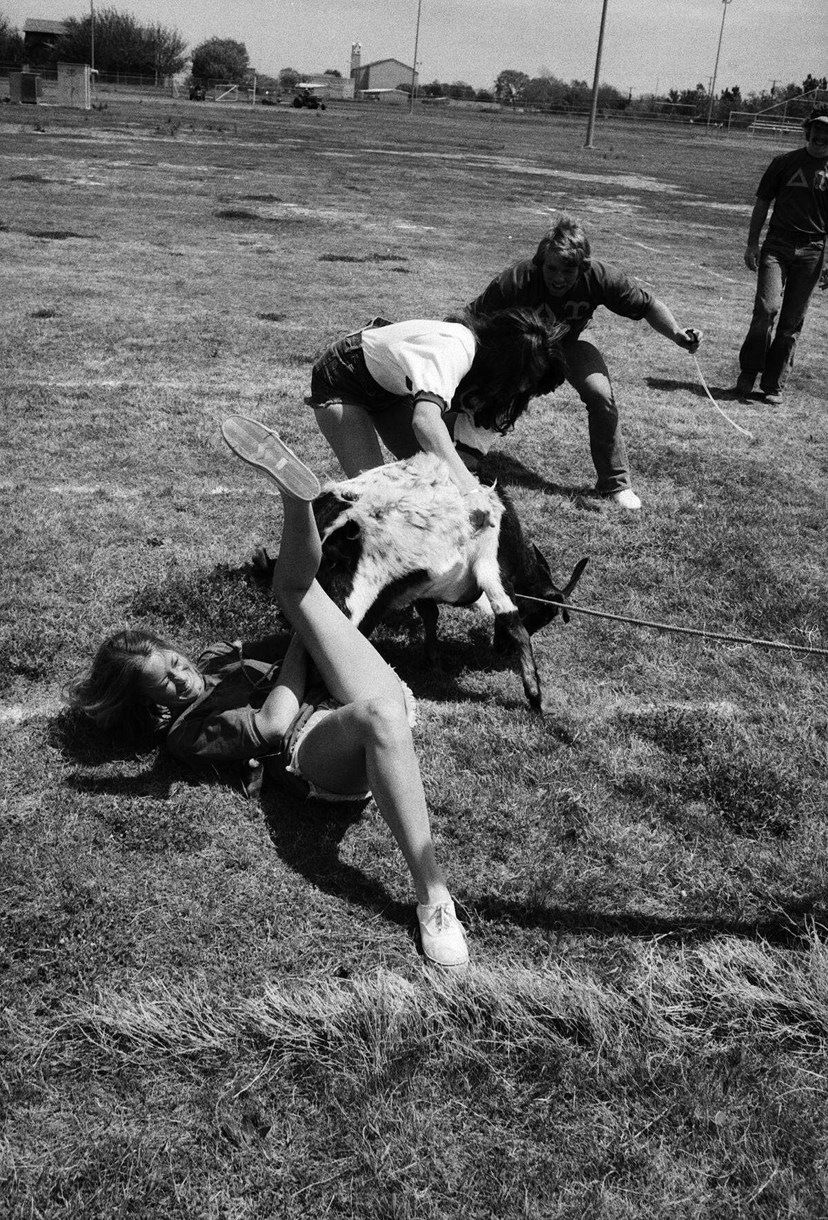April 19, 1975: Kathy Roche, foreground, and Kathy Sypert, struggling with a goat, were among the University of Texas at Arlington students who turned out for the fifth annual Delta Epsilon Spring Festival.