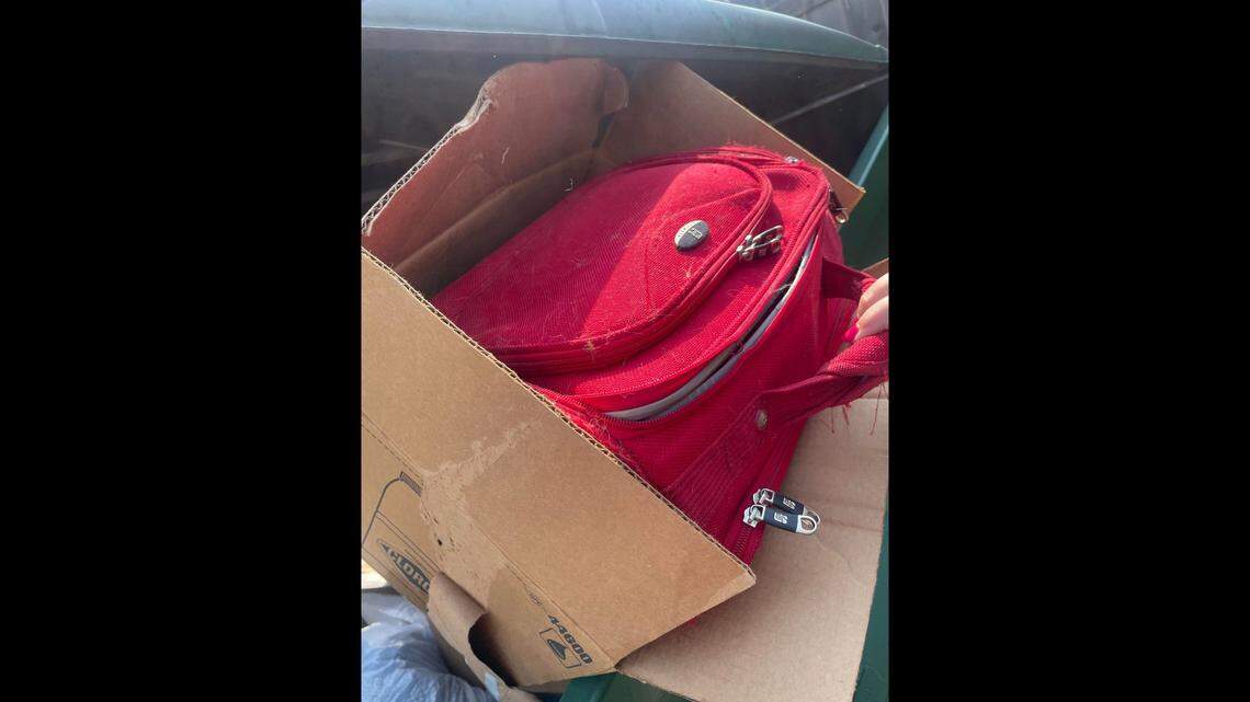 The cat, which has since been named Lemon Squeeze, escaped from a suitcase inside a cardboard box.