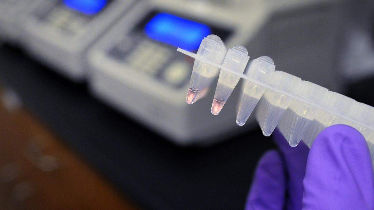 Fort Worth and other Texas agencies are getting federal money to help clear a backlog of DNA test kits.