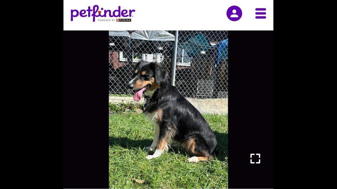 Gordita poses for the camera.