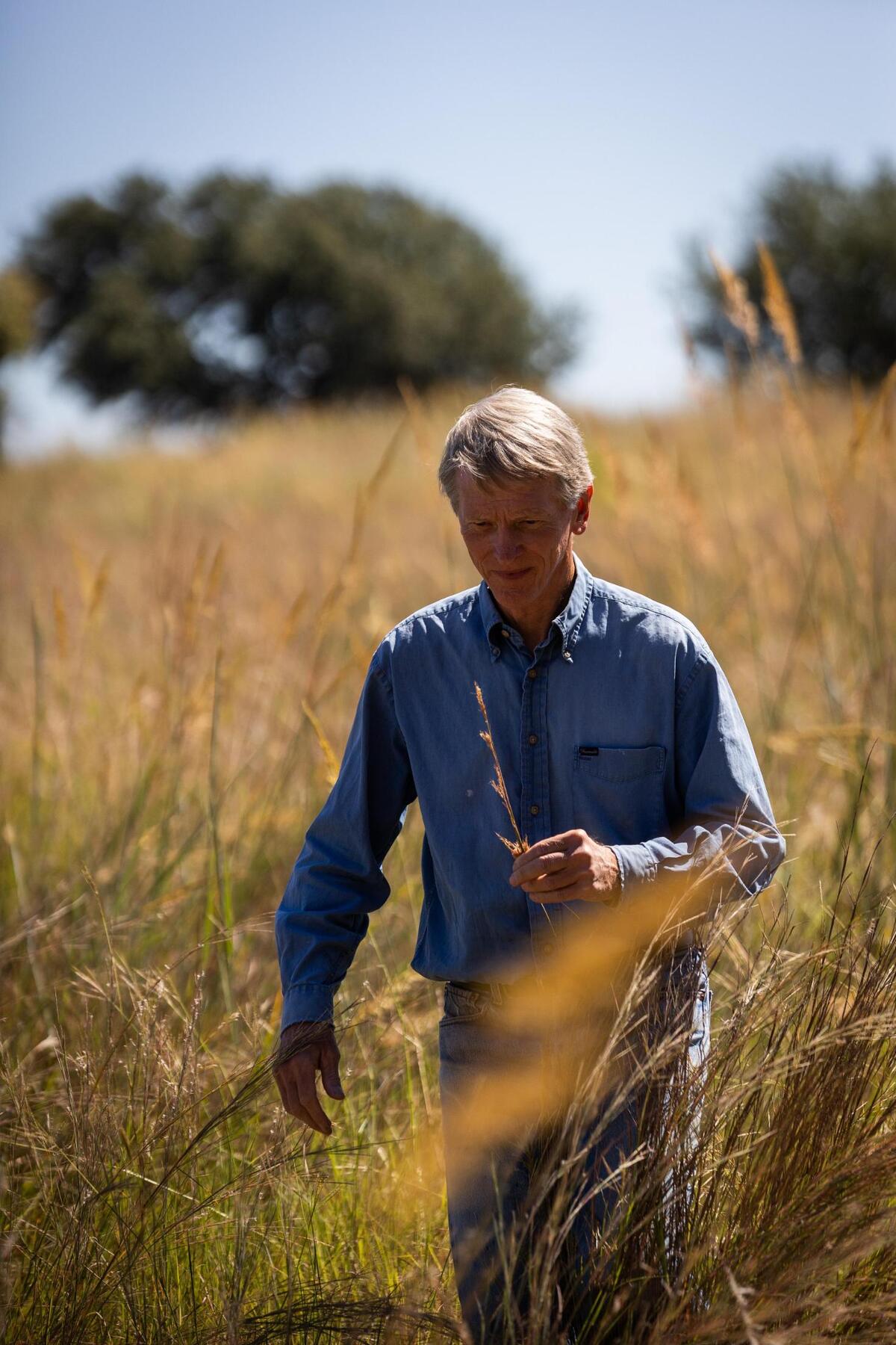“It’s a slow process,” Chuck Snakard says as he walks through the prairie he is restoring Sept. 23, 2021, in Glen Rose. The land was overgrazed and bare dirt when he started the restoration project.