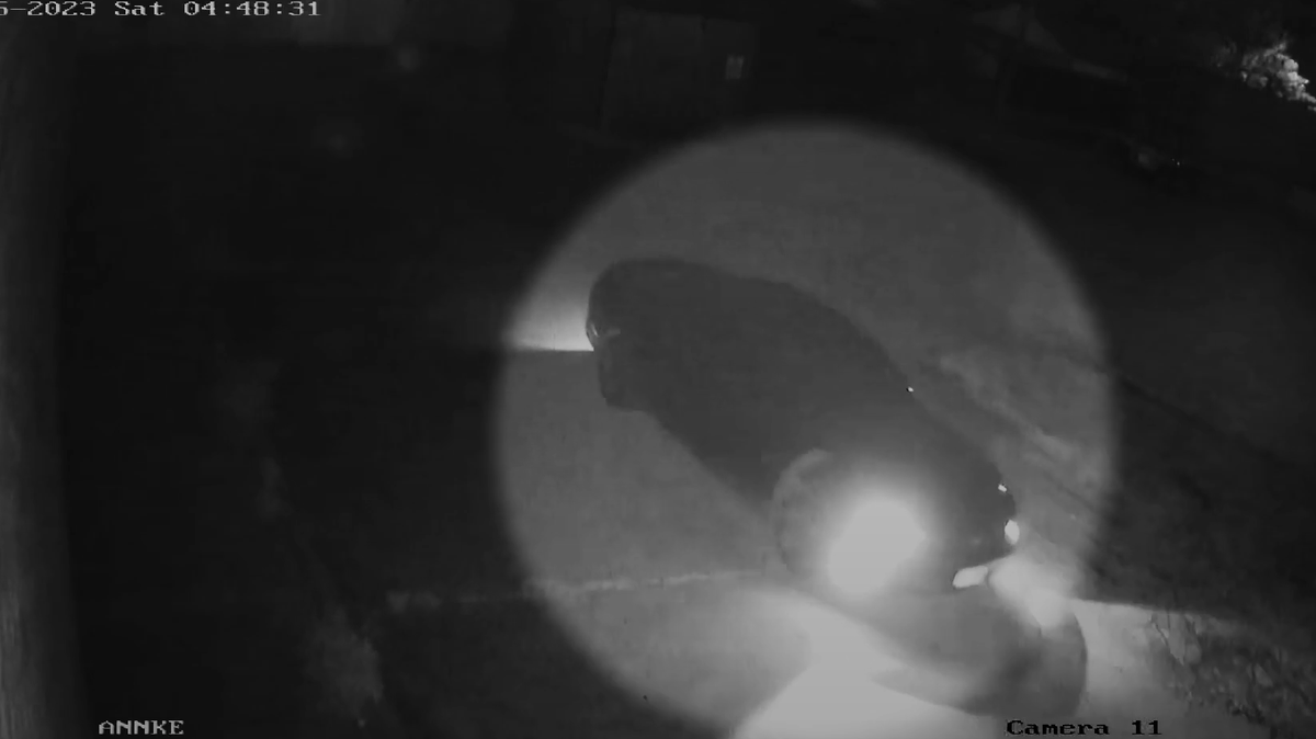 Dallas police are looking for a suspect and two cars wanted in a fatal shooting in April. The gunman was seen in a black Ford Mustang before the shooting and in a white Nissan Altima after.