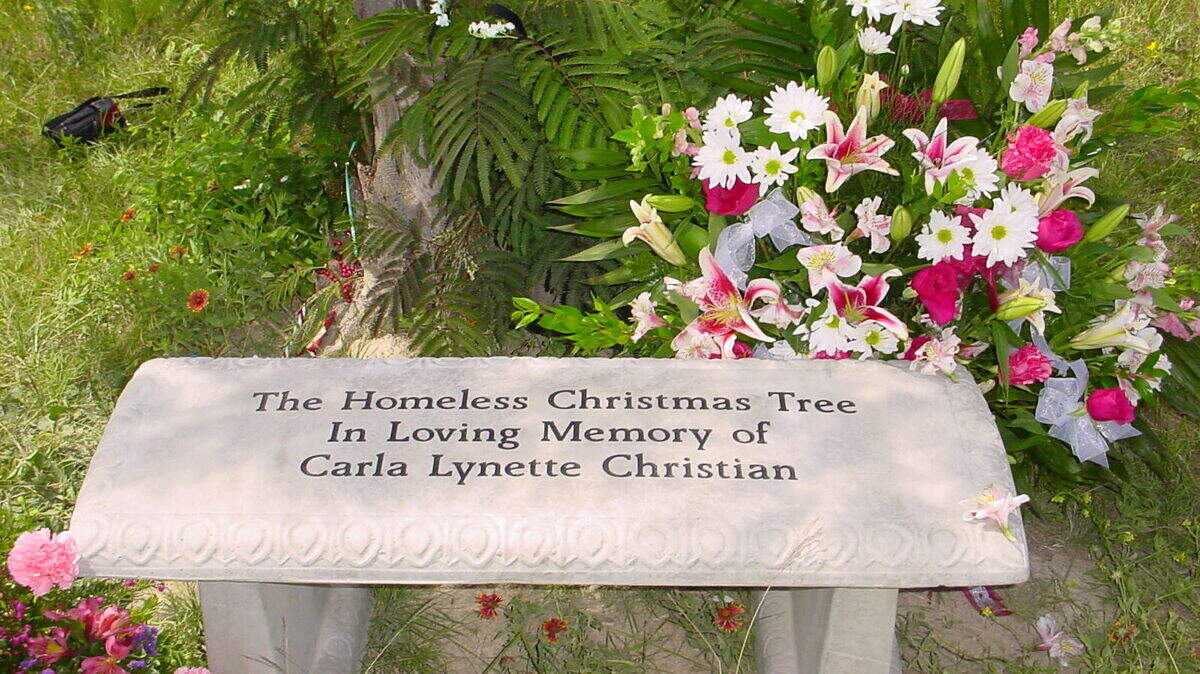 A bench in the memory of Carla Christian was placed next to Fort Worth’s Homeless Christmas Tree, but was recently removed by an unknown person.