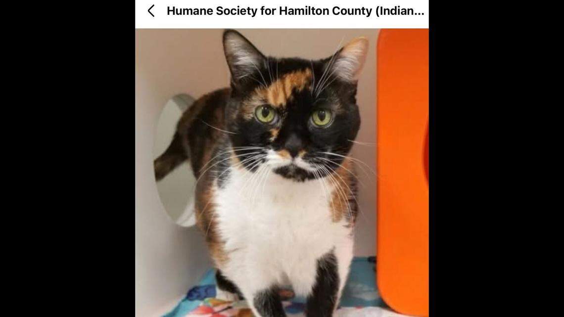 Juliet longs for affection.