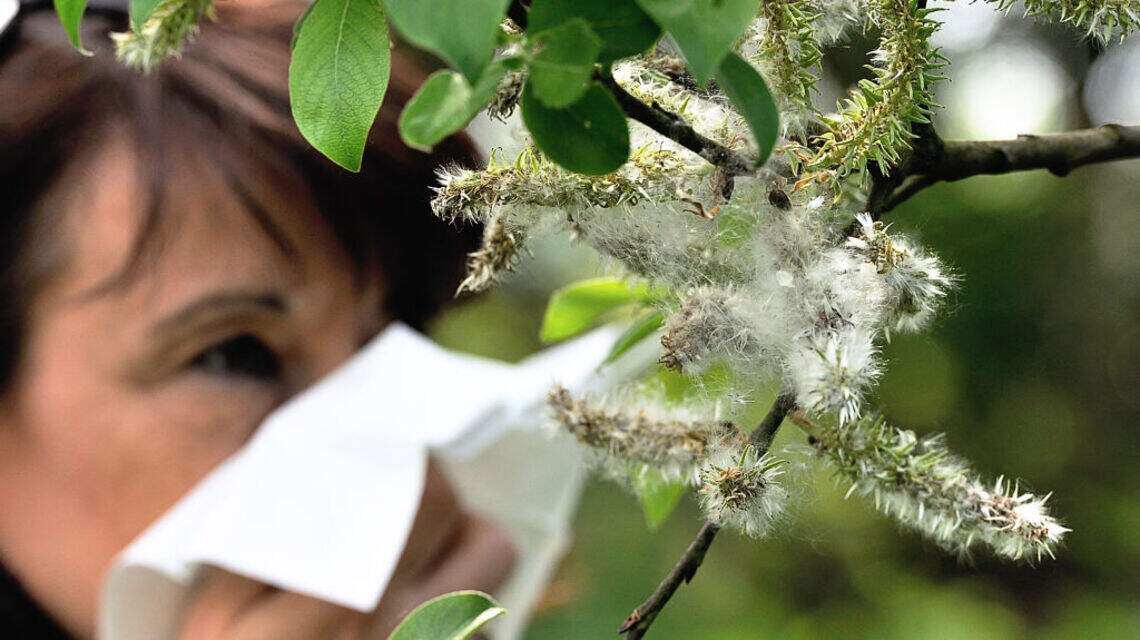 This Spring Feels Different Because It Is — Why 2026 Allergies Are Off the Charts and What Helps