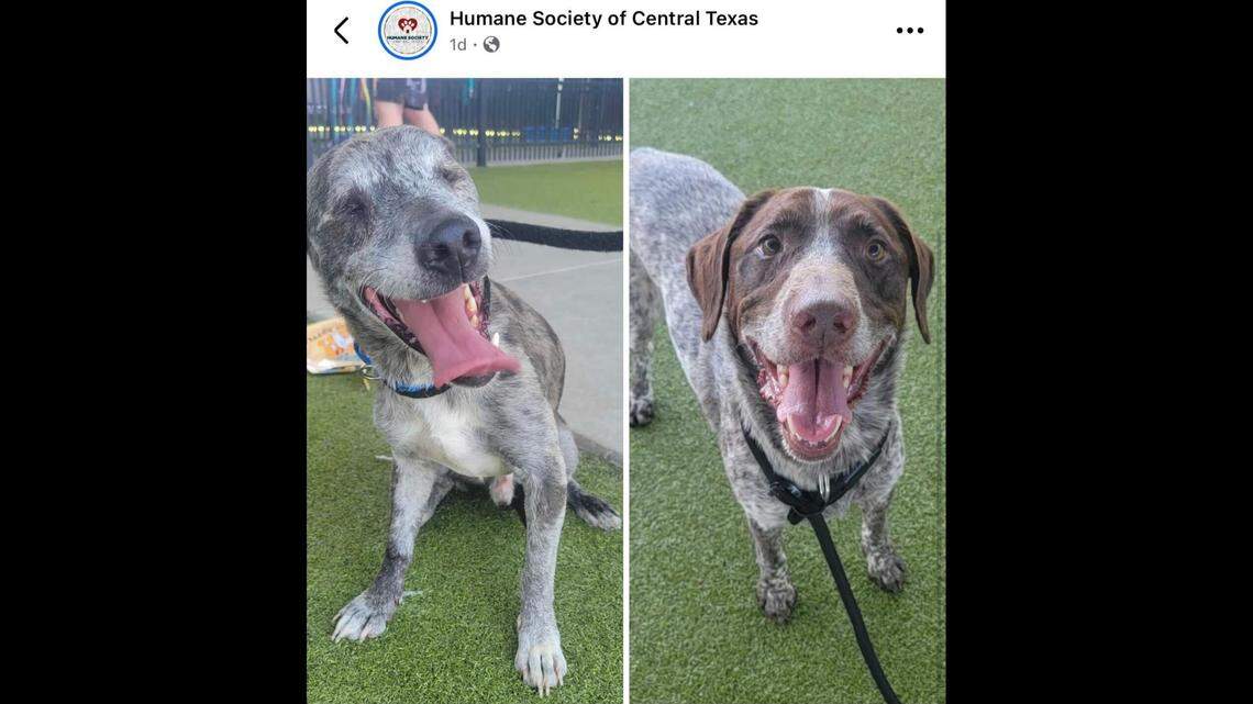 Chase and his brother Rusty.