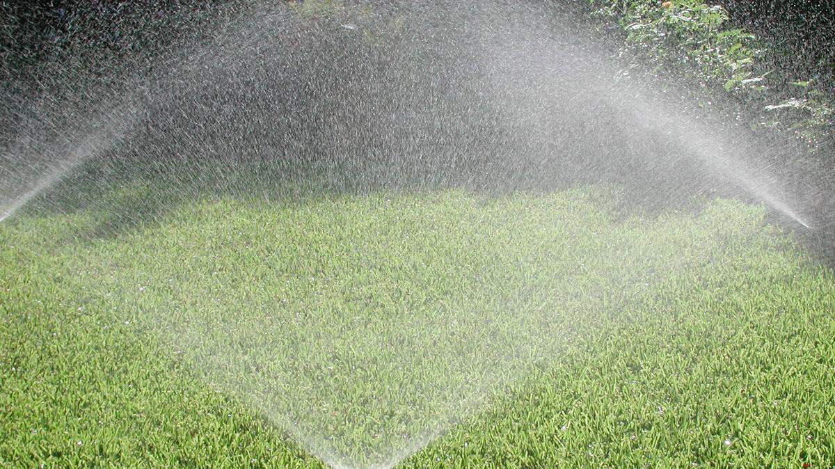 Run sprinklers early or late in day to conserve water.