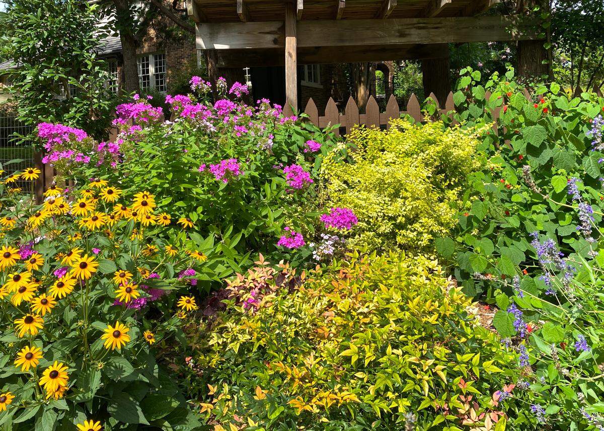 A blend of summer perennials.