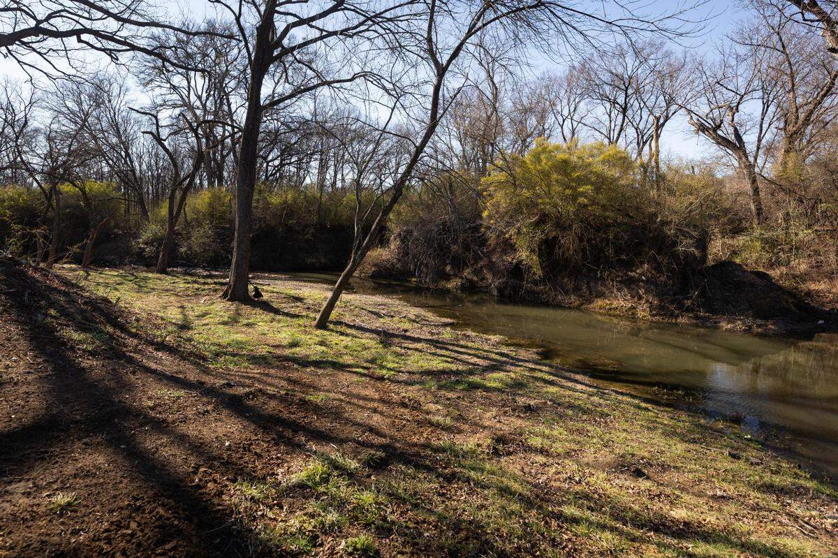 Village Creek run through the 85-acre White family farm in Burleson. The family purchased the farm last year and is working to remove trees and brush before starting fruit and nut trees.