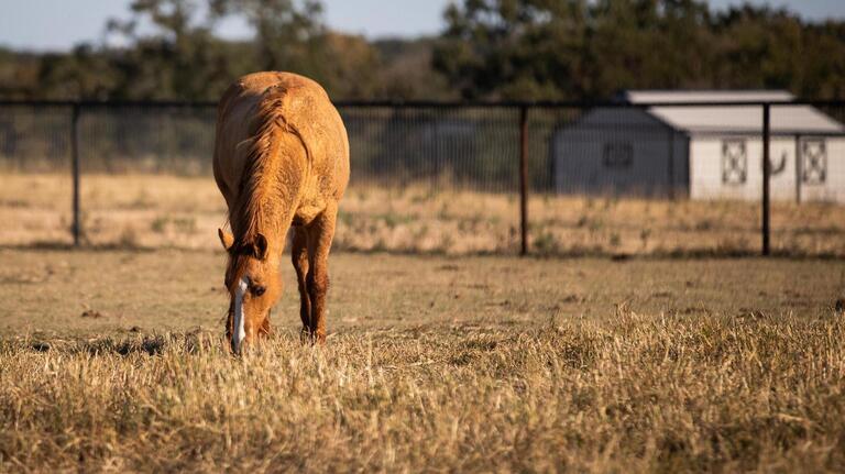 Is Texas’ pandemic land run coming to an end? Sales decline at the end of record year
