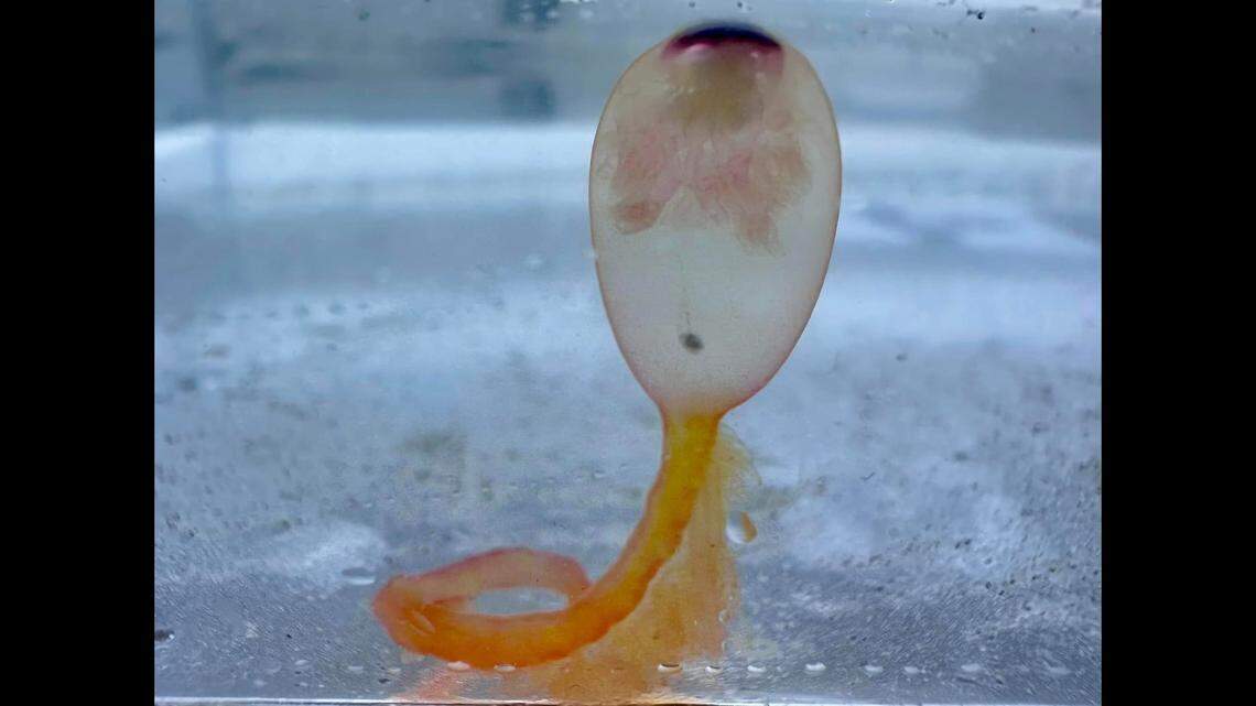 A view from the side.