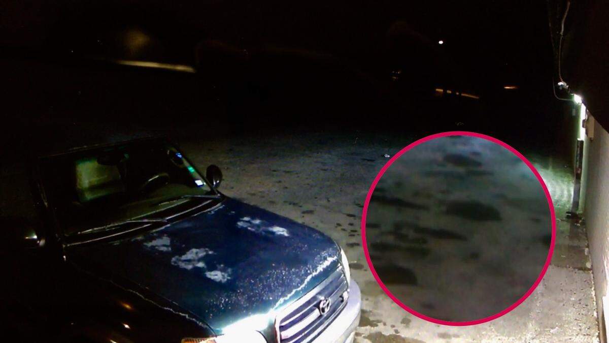 Ahmad Hammad, a store manager at Skip's Grocery Store in Sansom Park in northwest Fort Worth, said he believes the dark cloud circled above was a ghost traveling across the hood of his truck, along the cement and into the wall at 7:37 p.m. on Monday night.