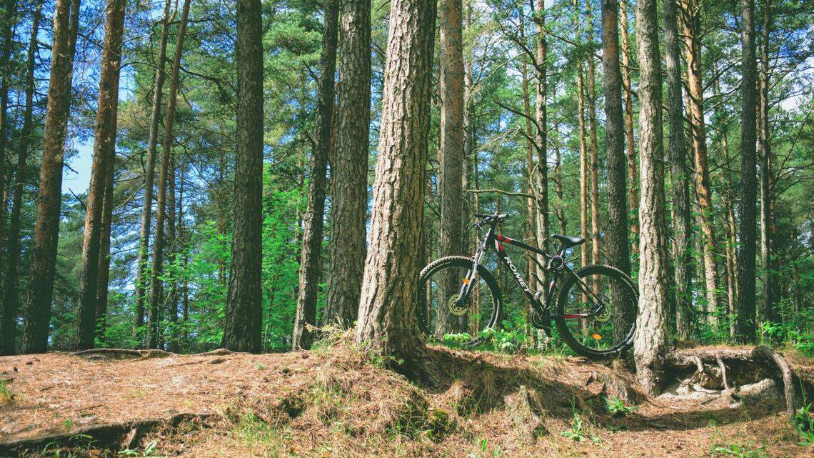 A woman got lost while biking the trails of a Texas state park and was found safe nearly 30 hours later, police said.