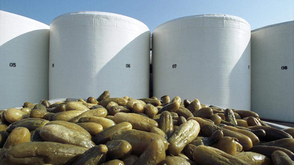 View of pickles processing at the Best Maid factory, August 1990. [FWST photographer Norm Tindell]
