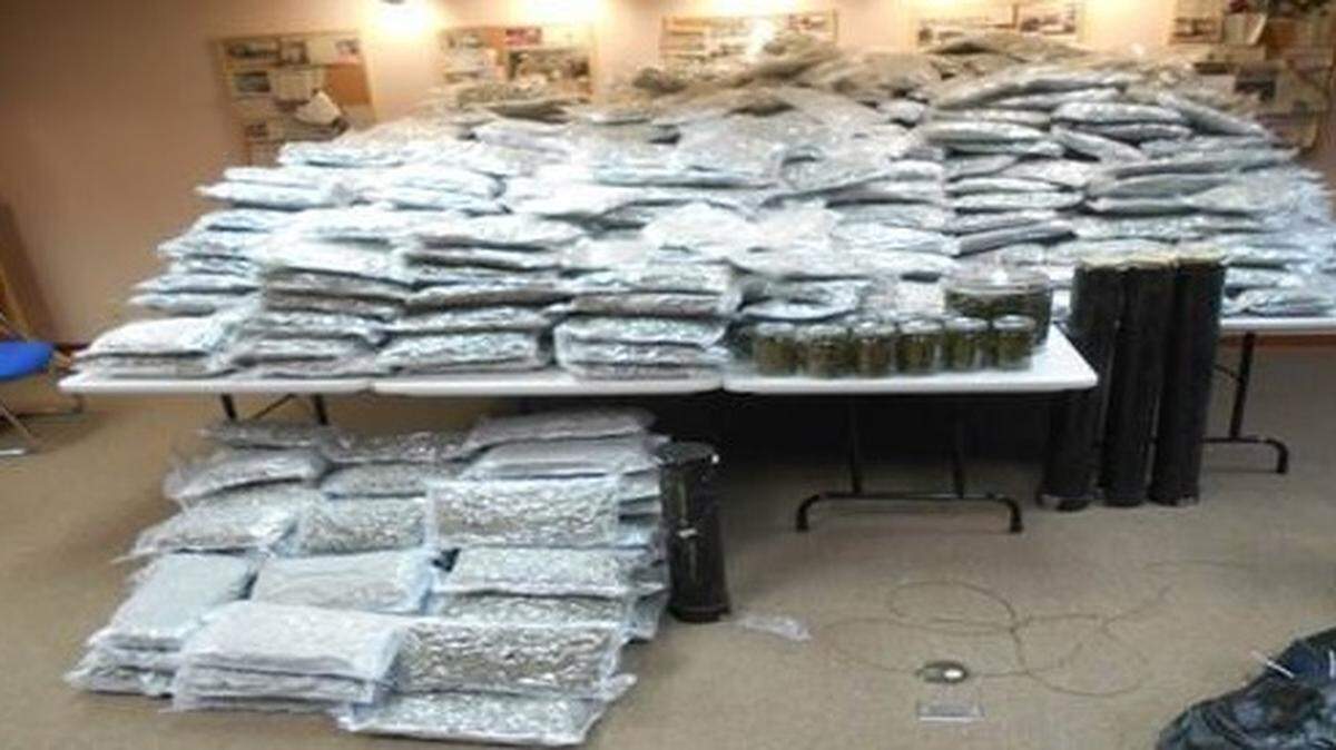 Texas Department of Public officials seized more than 1,000 pounds of marijuana in Wilbarger County that was headed to Arlington. One man was arrested.