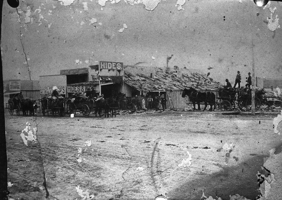1870s: A street scene in Weatherford, Texas, will remind many West Texas cattlemen of the days when wagons hauled hides into Crowdus Brothers on North Main Street. Pictured is the Weatherford branch of Crowdus Brothers. The wagons hauled the hides from this branch to the company in Fort Worth, Texas. Buffalo Hides are drying on the roof of the building. Horses and wagons are parked out front.