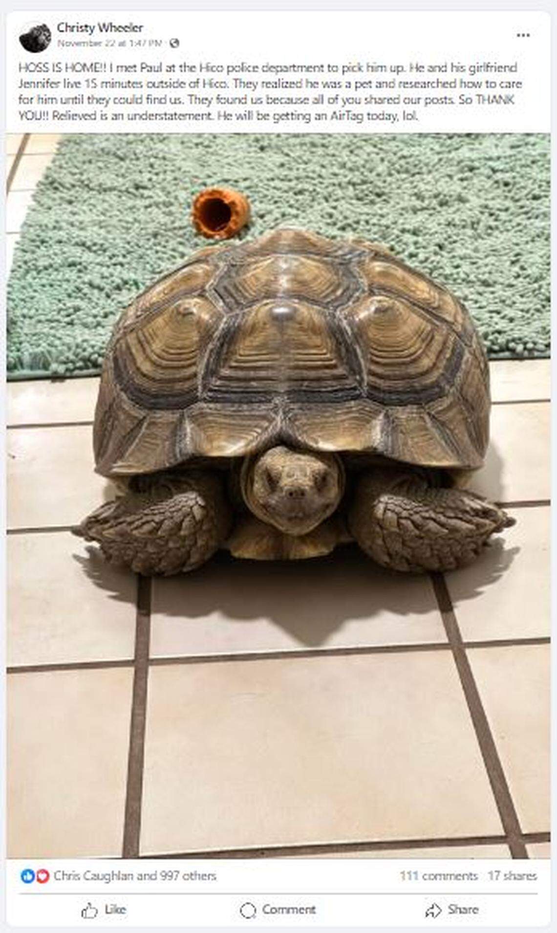 Christy Wheeler posts that Hoss is back home.