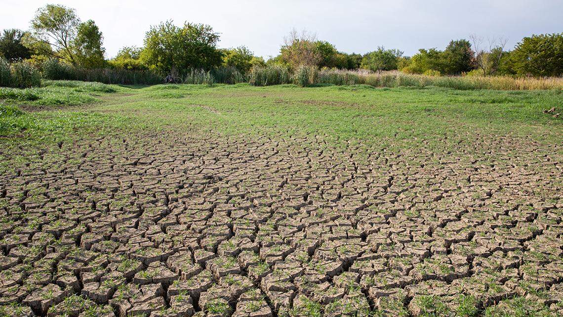 Increasingly dry years are in our future, and it will not be long until we find ourselves facing drought conditions once again.