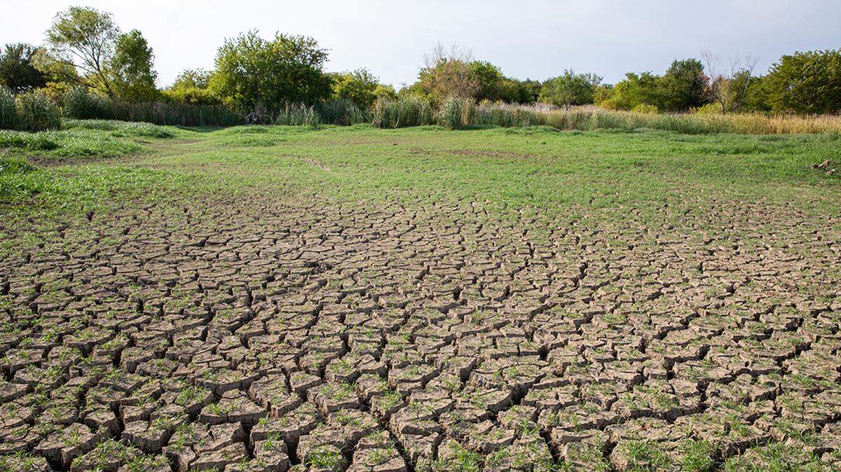 Increasingly dry years are in our future, and it will not be long until we find ourselves facing drought conditions once again.