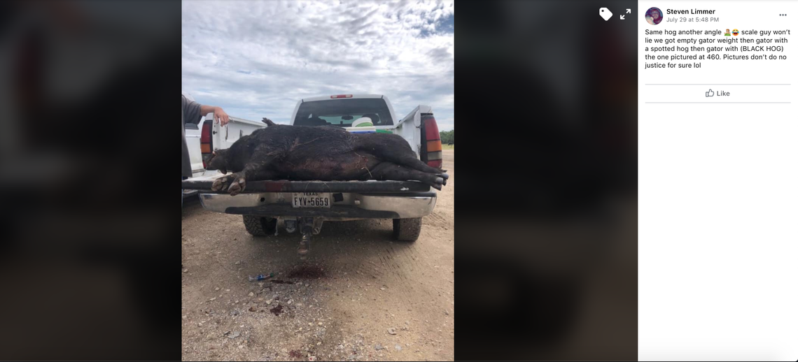 Wright and Roberts said a farmer down the street called to tell them about hogs on his property.