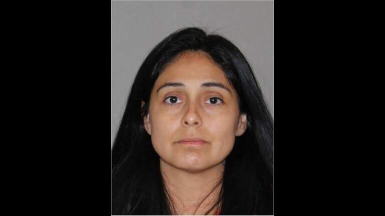 Texas mom accused of stabbing her kids, husband amid postpartum depression struggle