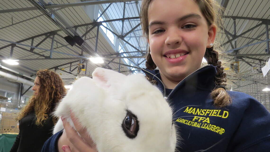 Fort Worth stock show: Youth rabbit show has 1,400 entries | Fort Worth ...