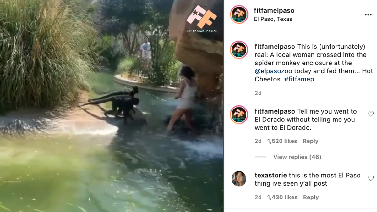 A woman was shown in a viral video feeding spider monkeys at the El Paso Zoo.