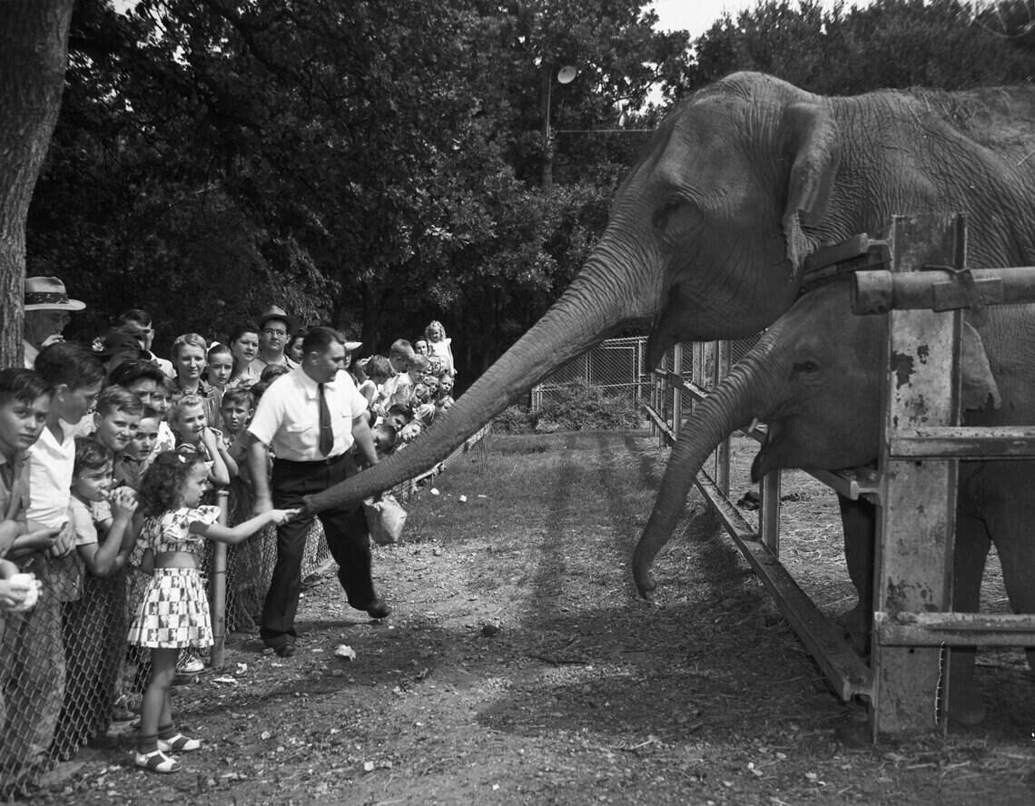 Historic archive photos of Fort Worth Zoo in the 1940s-1950s | Fort