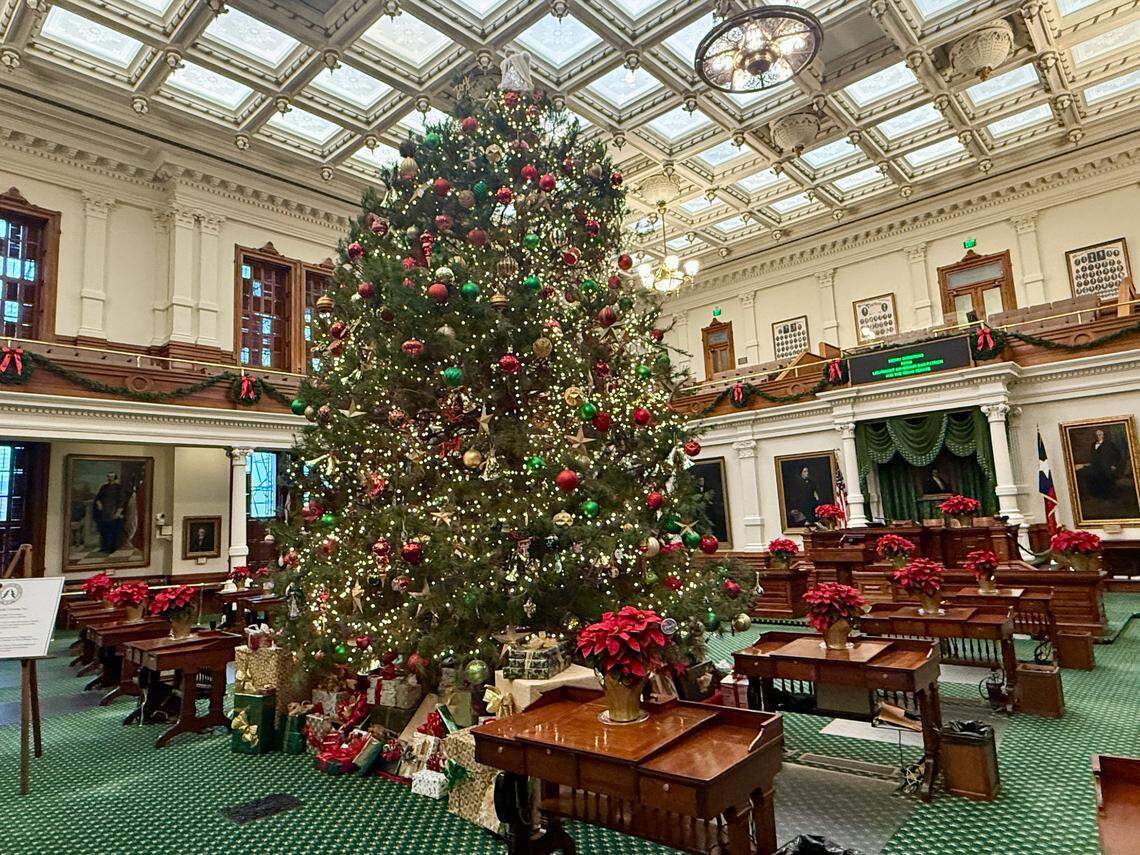 The Texas Senate Christmas tree is from Elves Christmas Tree Farm in Denison.