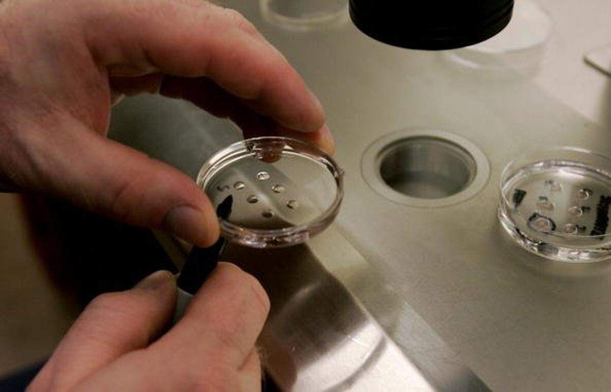 Embryologist Ric Ross holds a dish with human embryos n 2007 iat the La Jolla IVF Clinic in La Jolla, California.